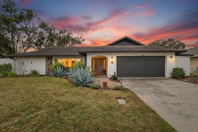 Lake Ellen - Hillsborough County Home Sale Pending in Tampa Florida