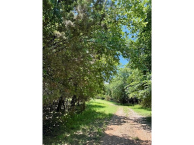 Lake Lot For Sale in Whitney, Texas