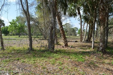 Great location for your business in a fast growing area! The - photo 2