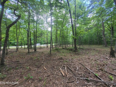 Cumberland Lakes Lot For Sale in Monterey Tennessee