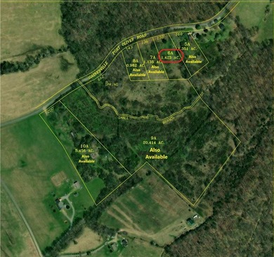 This 1.423 acre parcel offers a great potential home site in a - photo 3
