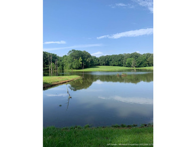 This 53.51+/- acre property in Hinds County combines substantial - photo 4
