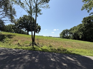 This 1.135 acre parcel offers a great potential home site in a - photo 1
