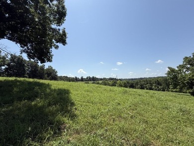 This 1.135 acre parcel offers a great potential home site in a - photo 4