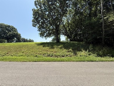 This 0.982 acre parcel offers a great potential home site in a - photo 1
