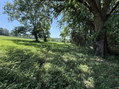 This 0.982 acre parcel offers a great potential home site in a - photo 4