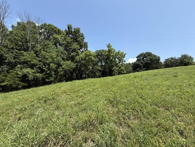 This 0.982 acre parcel offers a great potential home site in a - photo 5