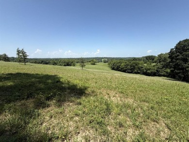 This 20.414 acre property offers mostly open land, a natural - photo 1