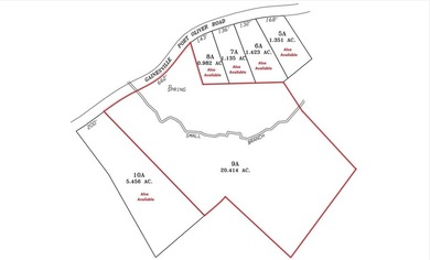 This 20.414 acre property offers mostly open land, a natural - photo 2