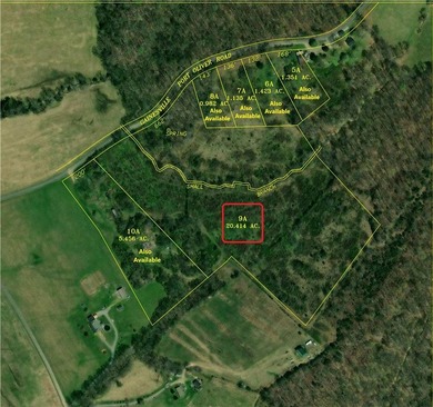 This 20.414 acre property offers mostly open land, a natural - photo 3