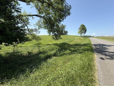 This 20.414 acre property offers mostly open land, a natural - photo 4