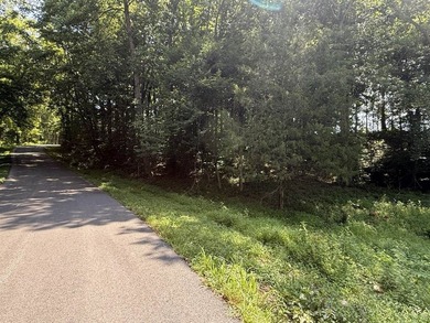 This 20.414 acre property offers mostly open land, a natural - photo 5
