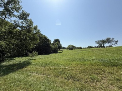 This 20.414 acre property offers mostly open land, a natural - photo 6
