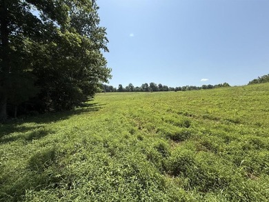 This 20.414 acre property offers mostly open land, a natural - photo 7