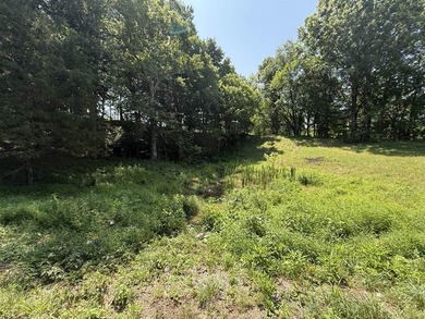 This 20.414 acre property offers mostly open land, a natural - photo 8