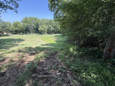 This 20.414 acre property offers mostly open land, a natural - photo 9