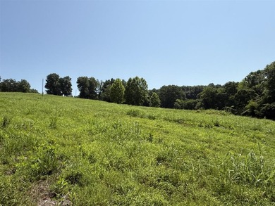 This 20.414 acre property offers mostly open land, a natural - photo 10