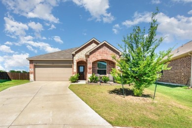 Lake Home For Sale in Princeton, Texas