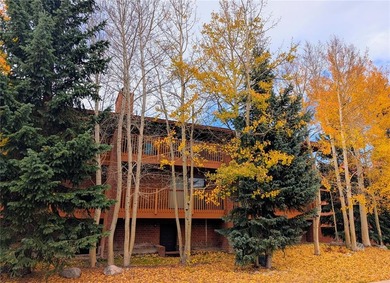 Dillon Reservoir Condo For Sale in Frisco Colorado