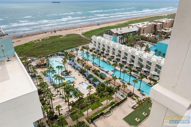 Experience luxury beachfront living from the 17th floor of the - photo 35