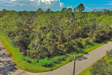 Northport Waterway Lakes and Canals Lot For Sale in North Port Florida
