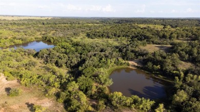 (private lake, pond, creek) Acreage For Sale in Newcastle Texas