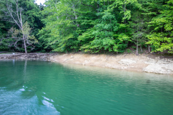 Norris Lake Lot For Sale in New Tazewell Tennessee