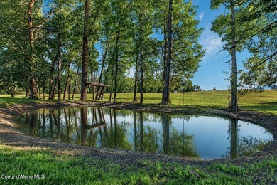 Enjoy breathtaking views of Schweitzer Mountain and the Selkirk - photo 45