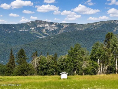 Enjoy breathtaking views of Schweitzer Mountain and the Selkirk - photo 46
