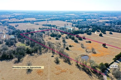 This could be your happy place!  Approximately 14.4 acres is - photo 3