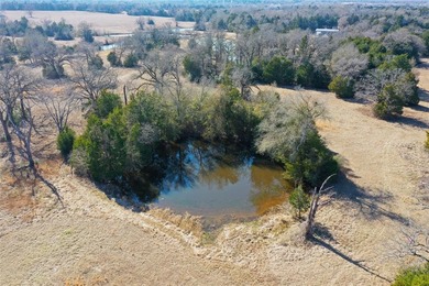 This could be your happy place!  Approximately 14.4 acres is - photo 6