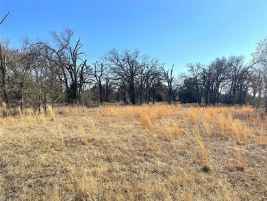 This could be your happy place!  Approximately 14.4 acres is - photo 7