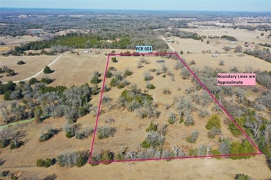 This could be your happy place!  Approximately 14.4 acres is - photo 9