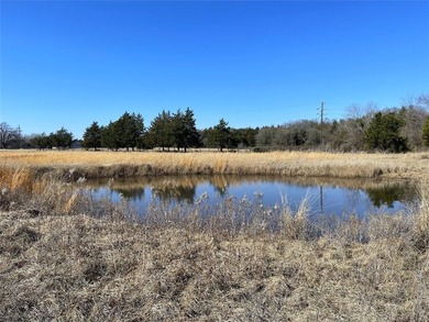 This could be your happy place!  Approximately 14.4 acres is - photo 10