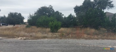 (private lake, pond, creek) Lot For Sale in Blanco Texas