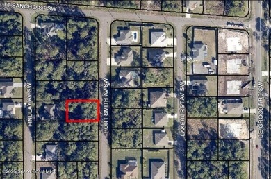 VACANT LAND = Build your New Home in a Desirable Area of Palm - photo 1