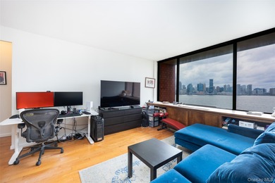 Luxury Waterfront Living in the Heart of Battery Park City - photo 4