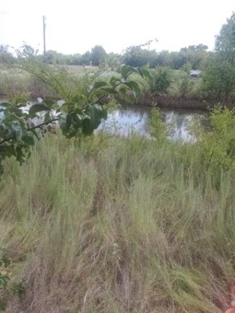 Lake Lot Off Market in Campbell, Texas