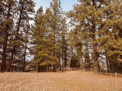 Clark Fork River Lot For Sale in Thompson Falls Montana