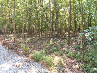 Watts Bar Lake Lot For Sale in Ten Mile Tennessee