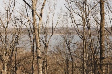 THE COLBERT 79 IS A MUST-SEE PROPERTY WITH GORGEOUS RIDGE-TOP - photo 6
