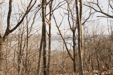 THE COLBERT 79 IS A MUST-SEE PROPERTY WITH GORGEOUS RIDGE-TOP - photo 7
