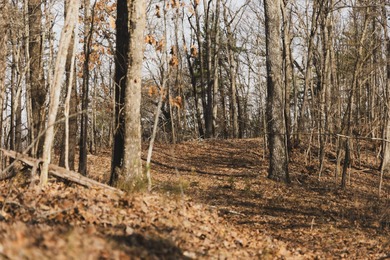 THE COLBERT 79 IS A MUST-SEE PROPERTY WITH GORGEOUS RIDGE-TOP - photo 9