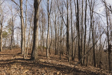 THE COLBERT 79 IS A MUST-SEE PROPERTY WITH GORGEOUS RIDGE-TOP - photo 10
