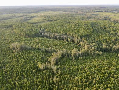 (private lake, pond, coastal) Acreage For Sale in Leakesville Mississippi