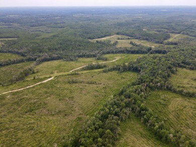 A gorgeous, large contiguous tract in the Avera community - photo 2
