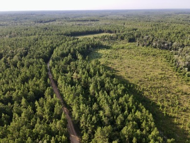 A gorgeous, large contiguous tract in the Avera community - photo 3