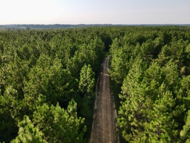 A gorgeous, large contiguous tract in the Avera community - photo 4