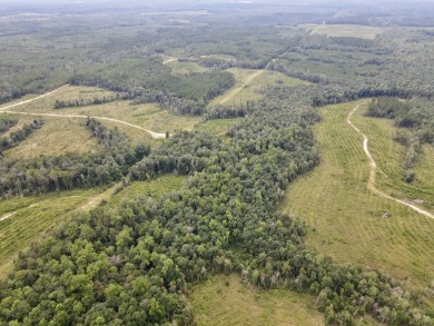 A gorgeous, large contiguous tract in the Avera community - photo 5