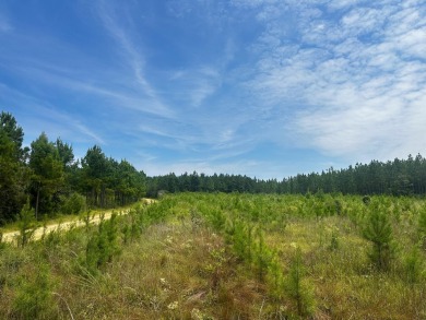 A gorgeous, large contiguous tract in the Avera community - photo 6